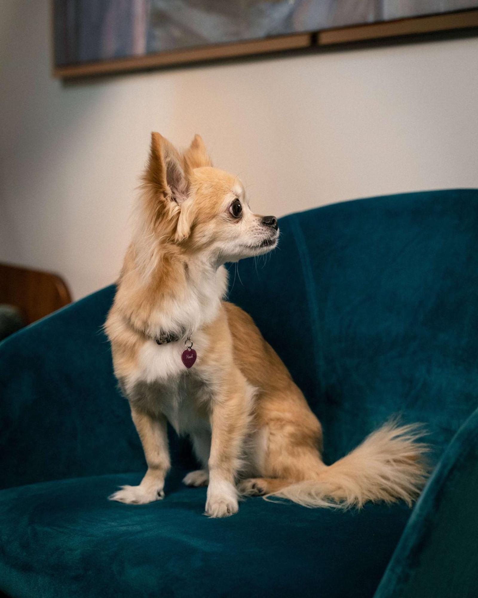 Maison Colbert Member Of Meliá Collection Notre-dame Parigi